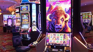 245bet
